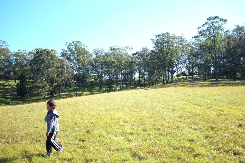 The kids ran (a couple fell!) down this really steep incline into the valley behind the retreat centre and shrine - scaring the heck out of their parents.