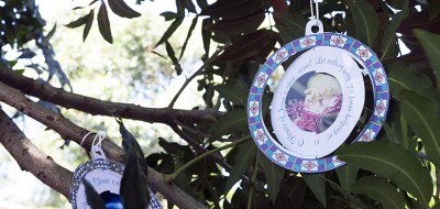 feature-image-400x190