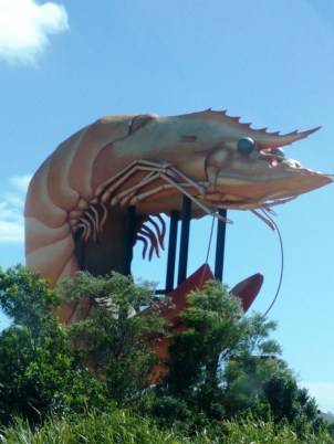 Big prawn.jpg
