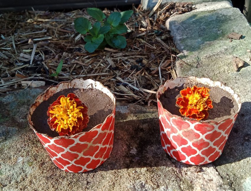 Work life balance mud pies in backyard